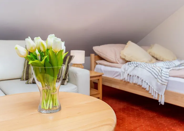 Milosna ויסלאו