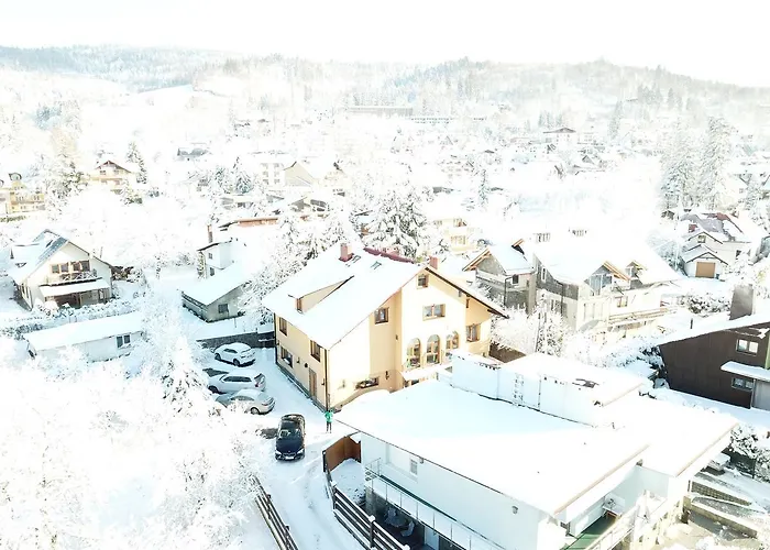 Milosna ויסלאו